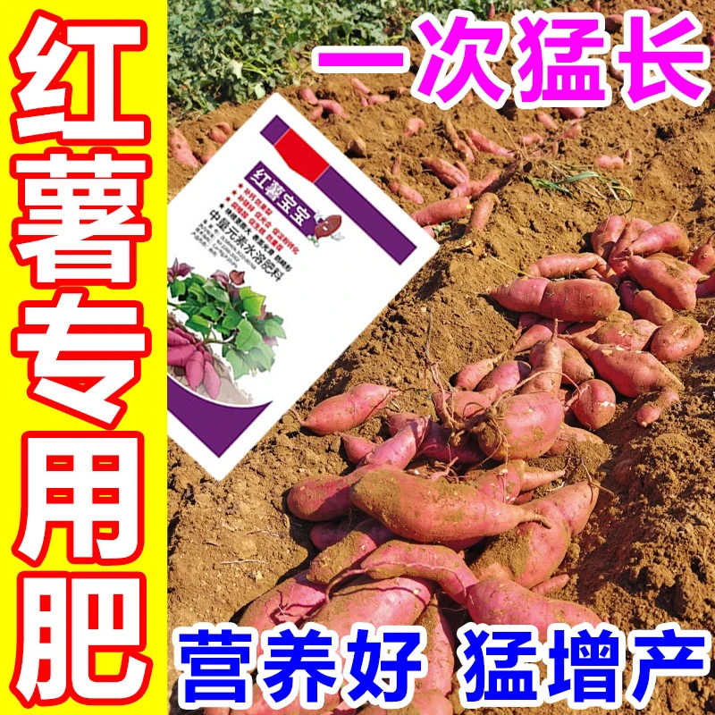 红薯宝宝番薯宝宝正品进口快速膨大素防裂强力补钙补镁控上促下