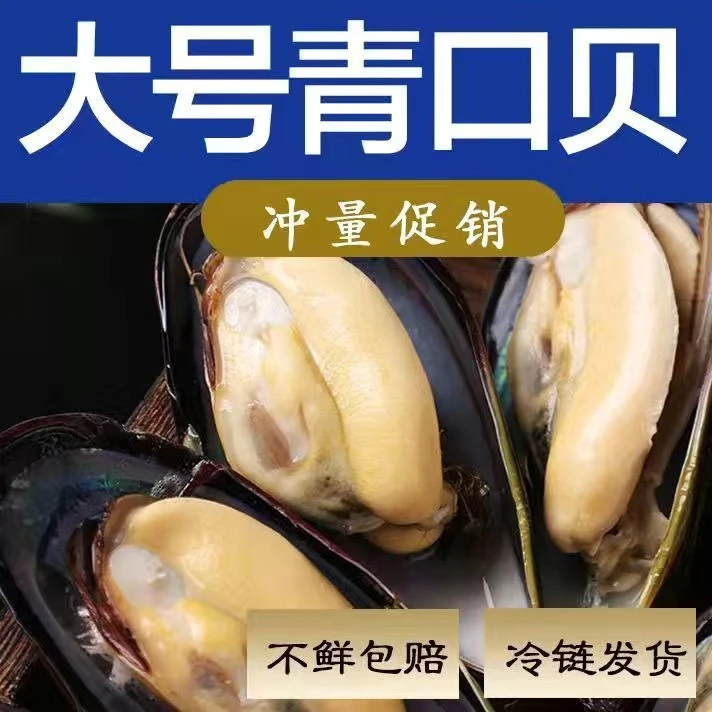 拍3斤送2斤 薄壳非厚壳青口贝海红海虹肉新鲜包新鲜满壳肥