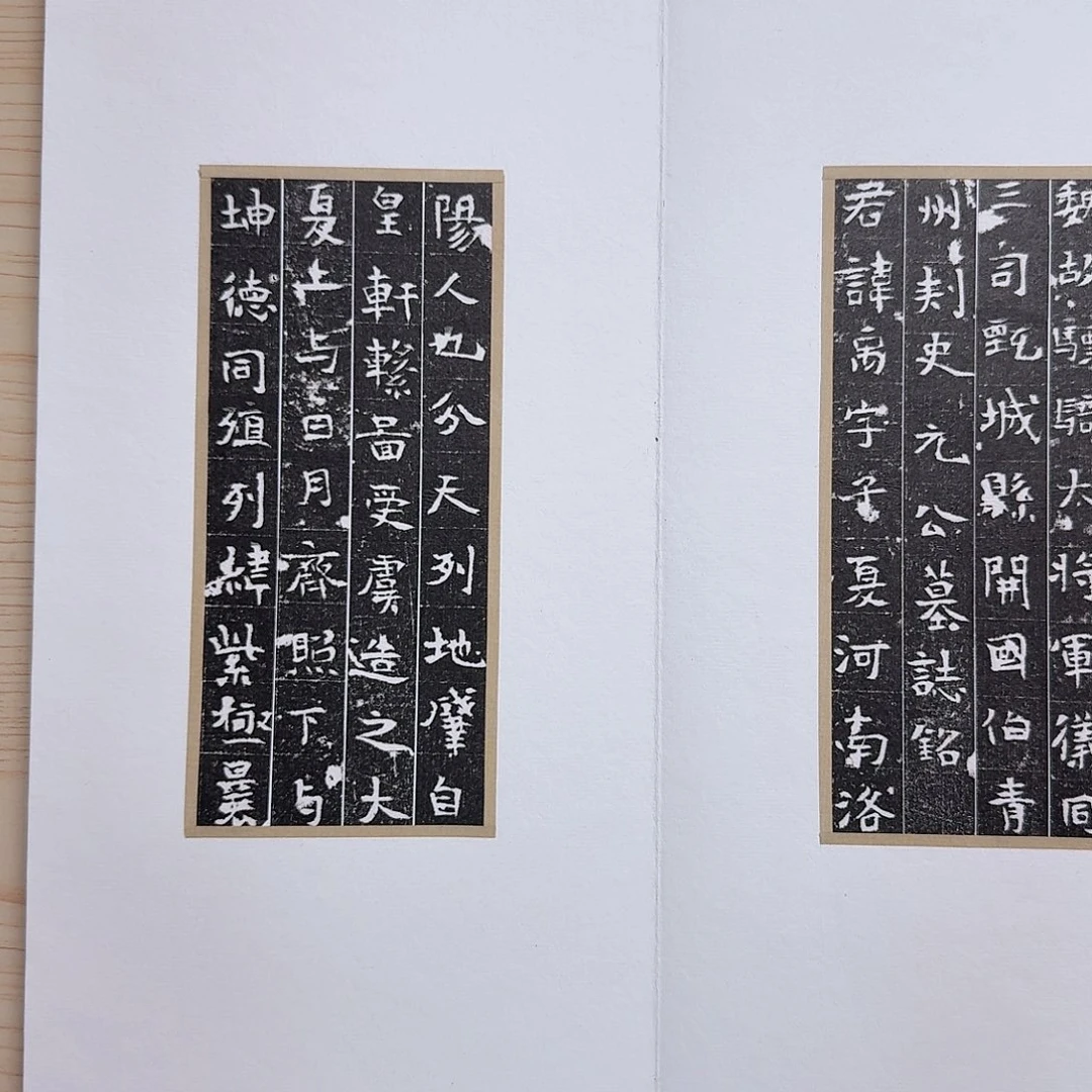 鹤***天昌化石印石元禹111111111