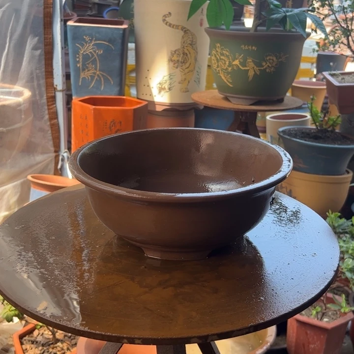 28碗盆花盆花盆花盆花盆花盆
