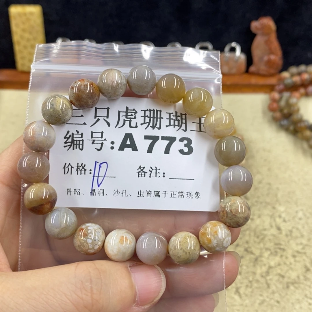 硅化珊瑚（珊瑚玉）1未镶嵌草*汁