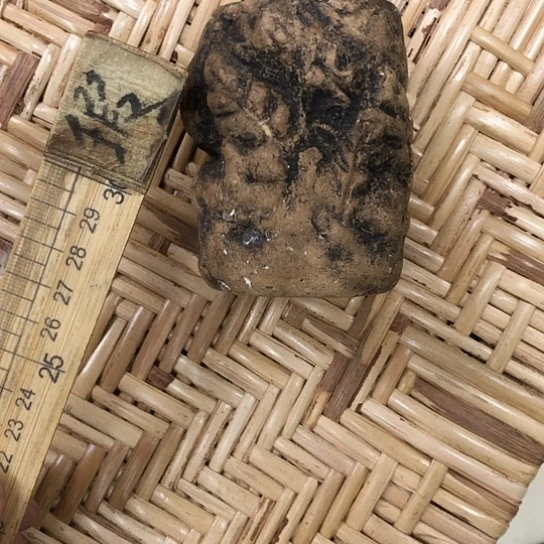 11111111111111111111杯子