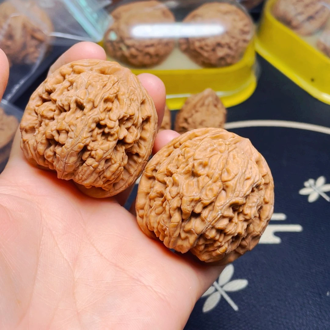 吊坠文玩核桃粗筋蚂蚁王