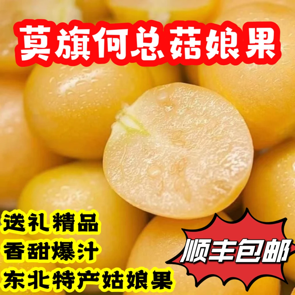 东北特产精品菇娘果新鲜爆汁皮薄爆汁味道甘甜带箱5斤发顺丰
