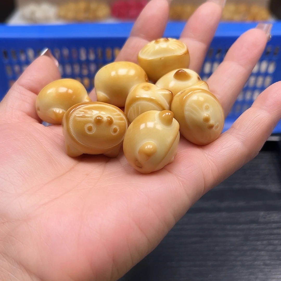 菩提根/象牙果手串瑕疵卡27左右炭烧鲨鱼猫8颗孔道有裂