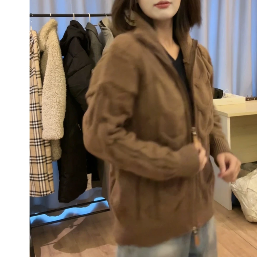 高领加厚羊毛拉链针织毛衣外套气质网红时尚休闲百搭宽松女款ins