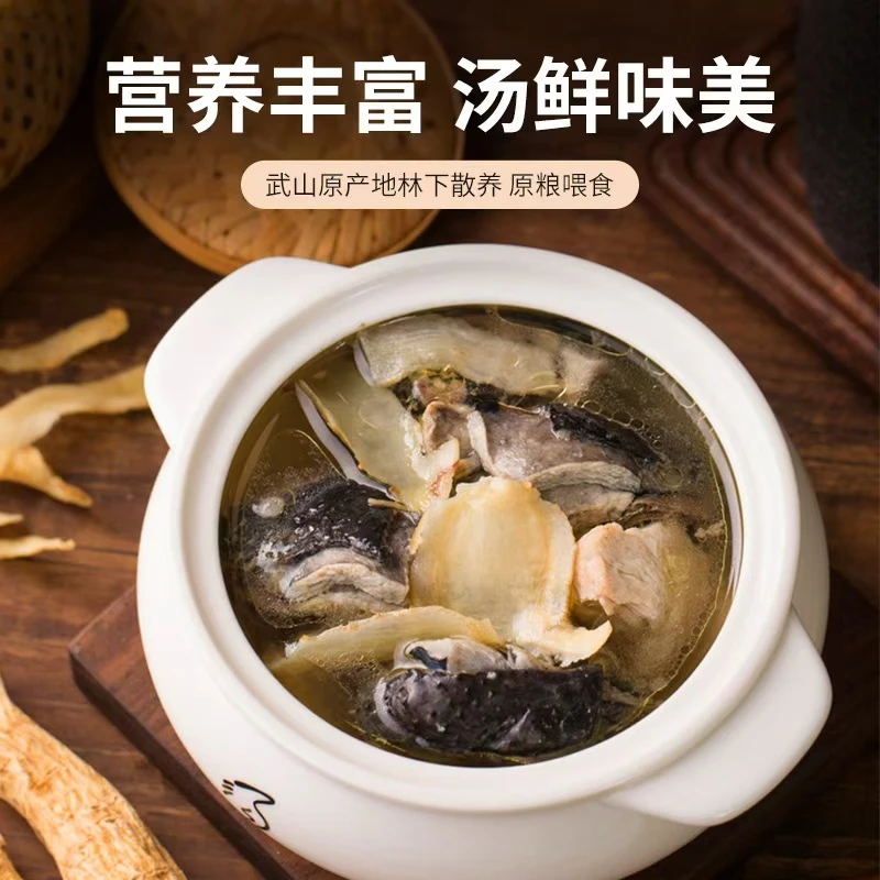 泰和乌鸡400天活鸡现杀  顺丰冷链真空包装