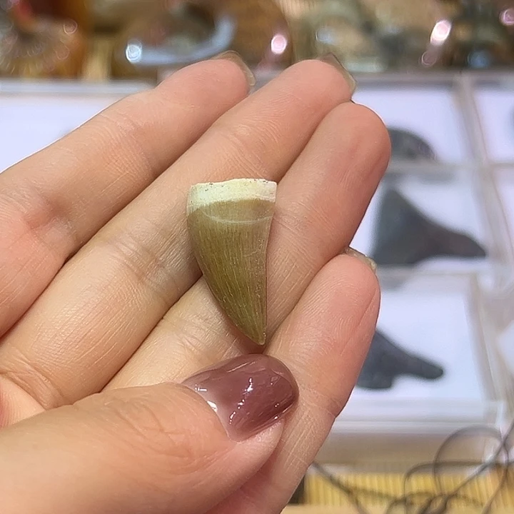 志***球石材摩洛哥^_^镶嵌^_^^_^^_^^_^