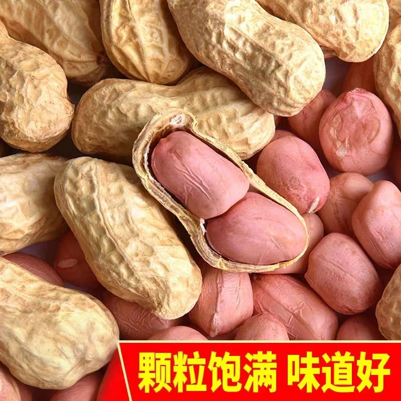 新晒带壳核桃五香味花生大粒带皮生花生美味坚果零食下酒好搭档