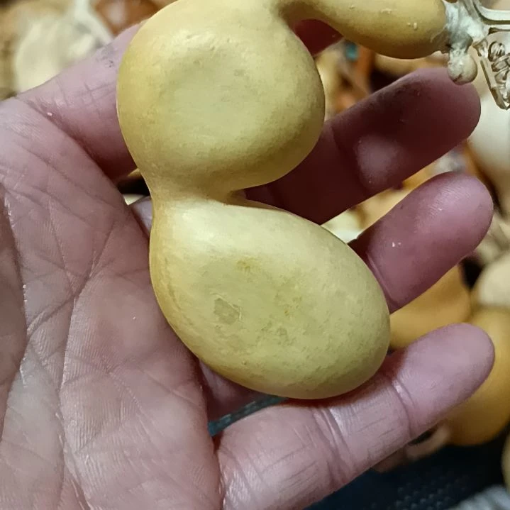 爱*惠葫芦葫芦葫芦葫芦葫芦葫芦葫芦