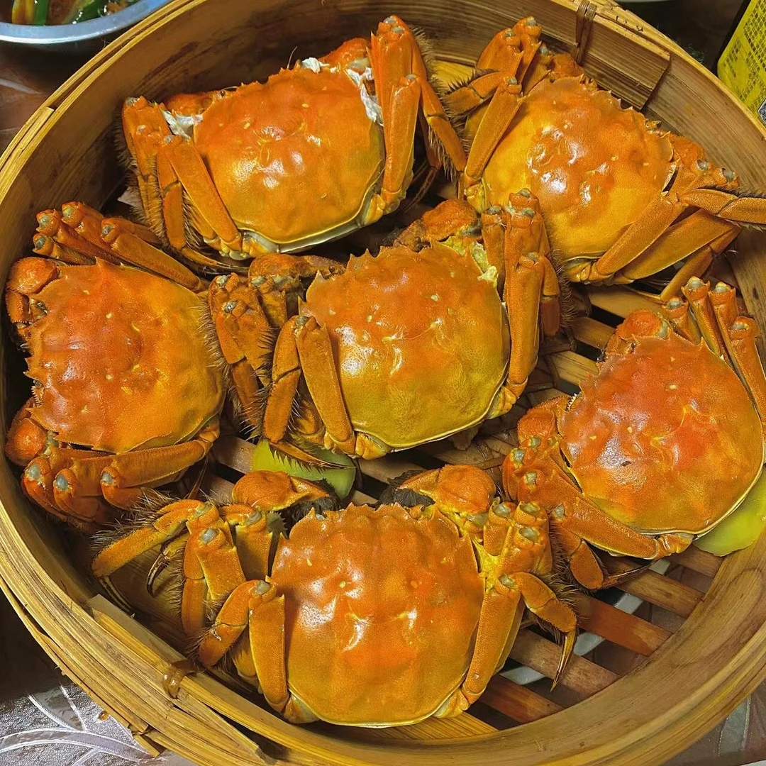 【活蟹】盘锦河蟹(1.7-1.4两)母蟹2斤/3斤新鲜到家(14-21只)