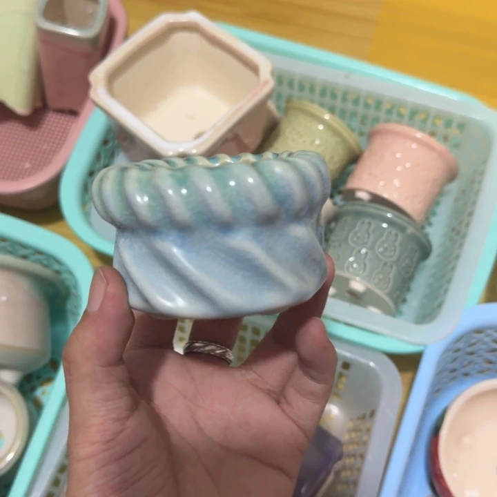 花盆花盆花盆花盆