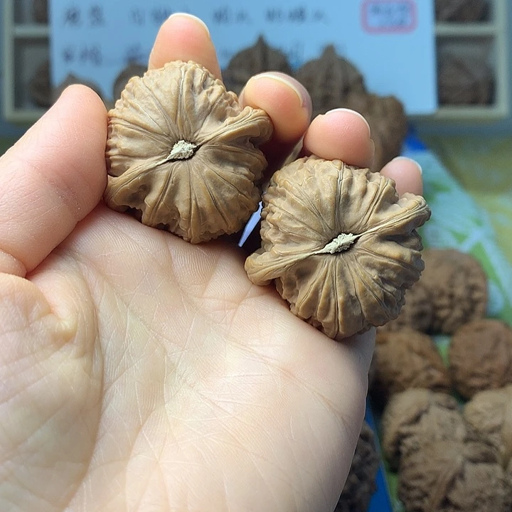 把件文玩核桃白狮子38