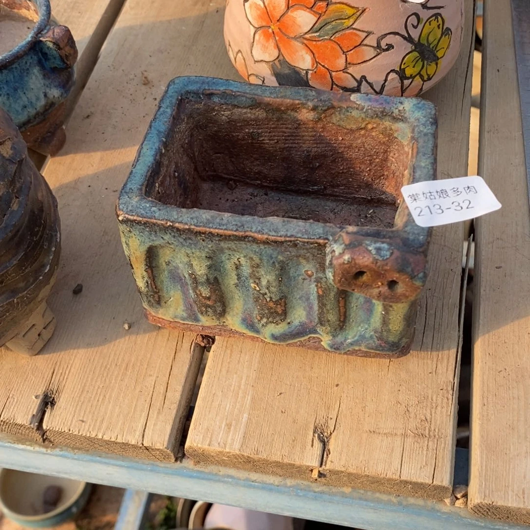 红陶告****哭32号多肉盆一个呀