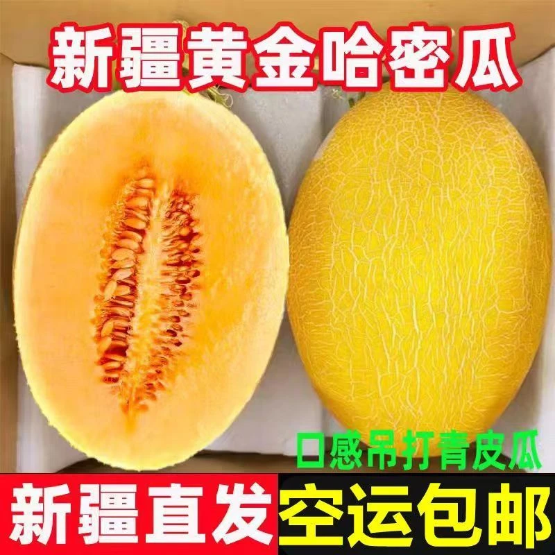 【新疆空运直发】吐鲁番哈密瓜金色年华现摘现发应季新鲜脆甜水果