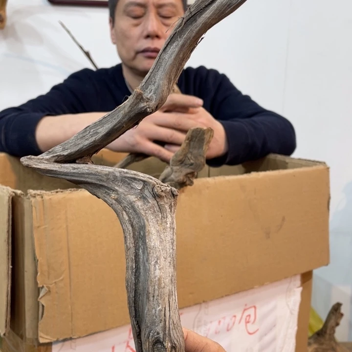 王**具我们都是好孩子呀