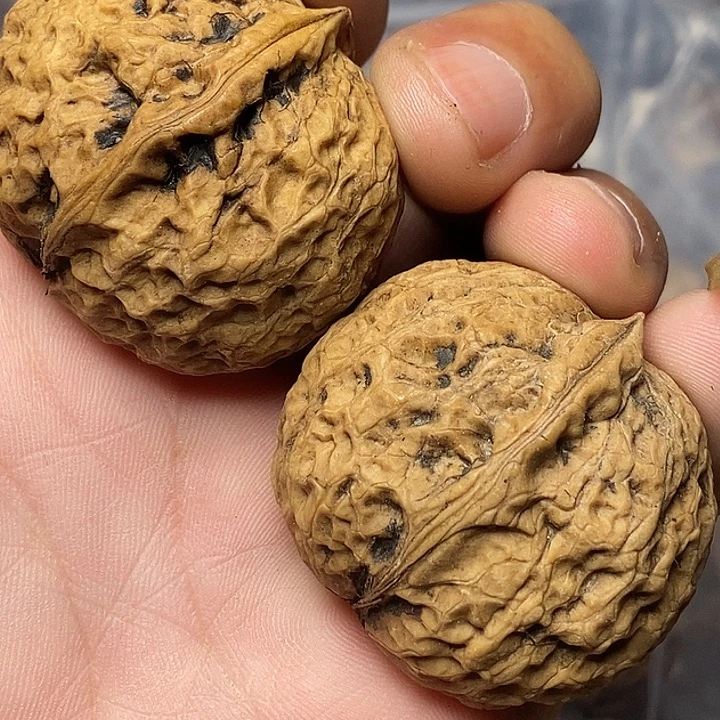 文玩核桃把件云南铁核桃56