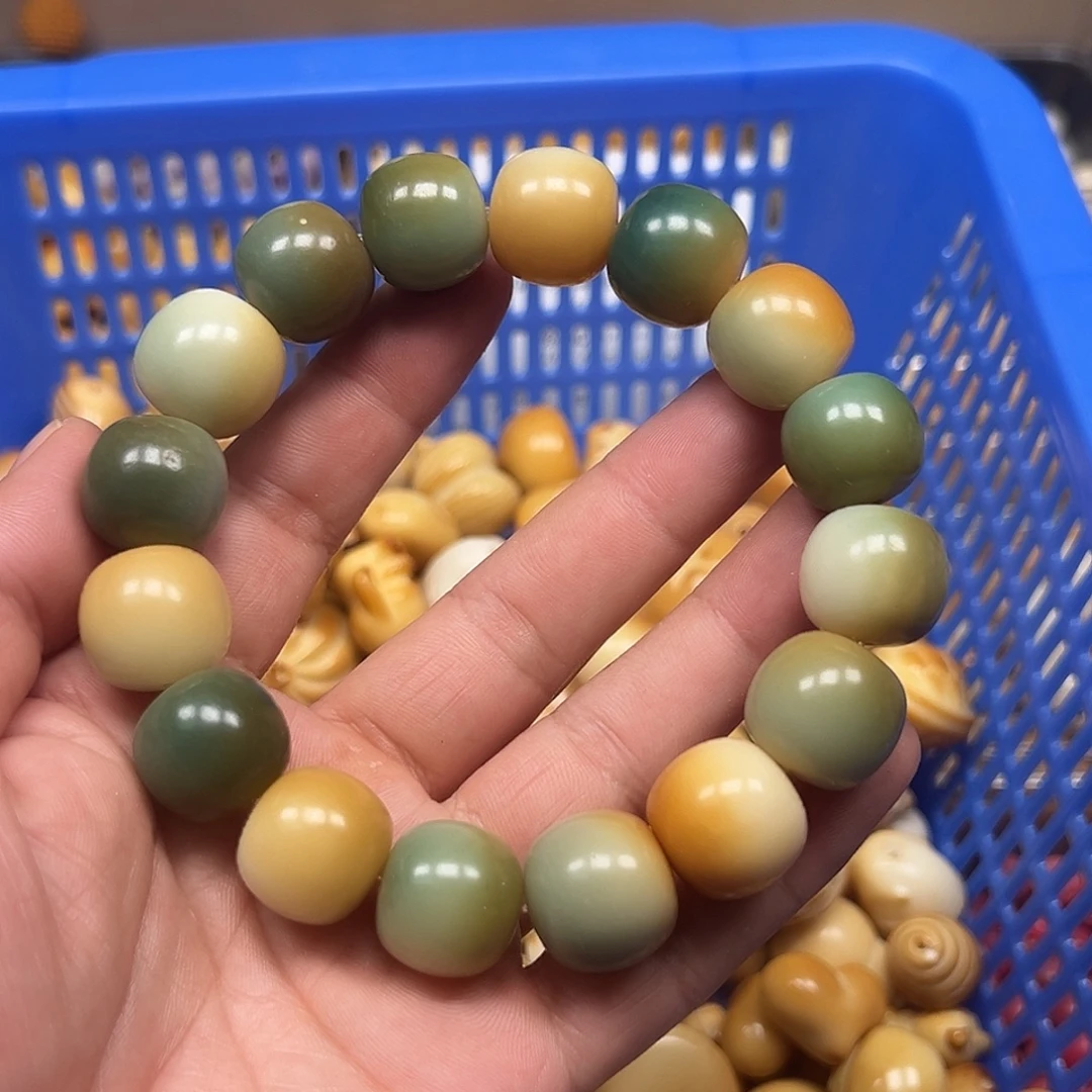 菩提根/象牙果手串20颗敦煌桶珠有裂17尺寸