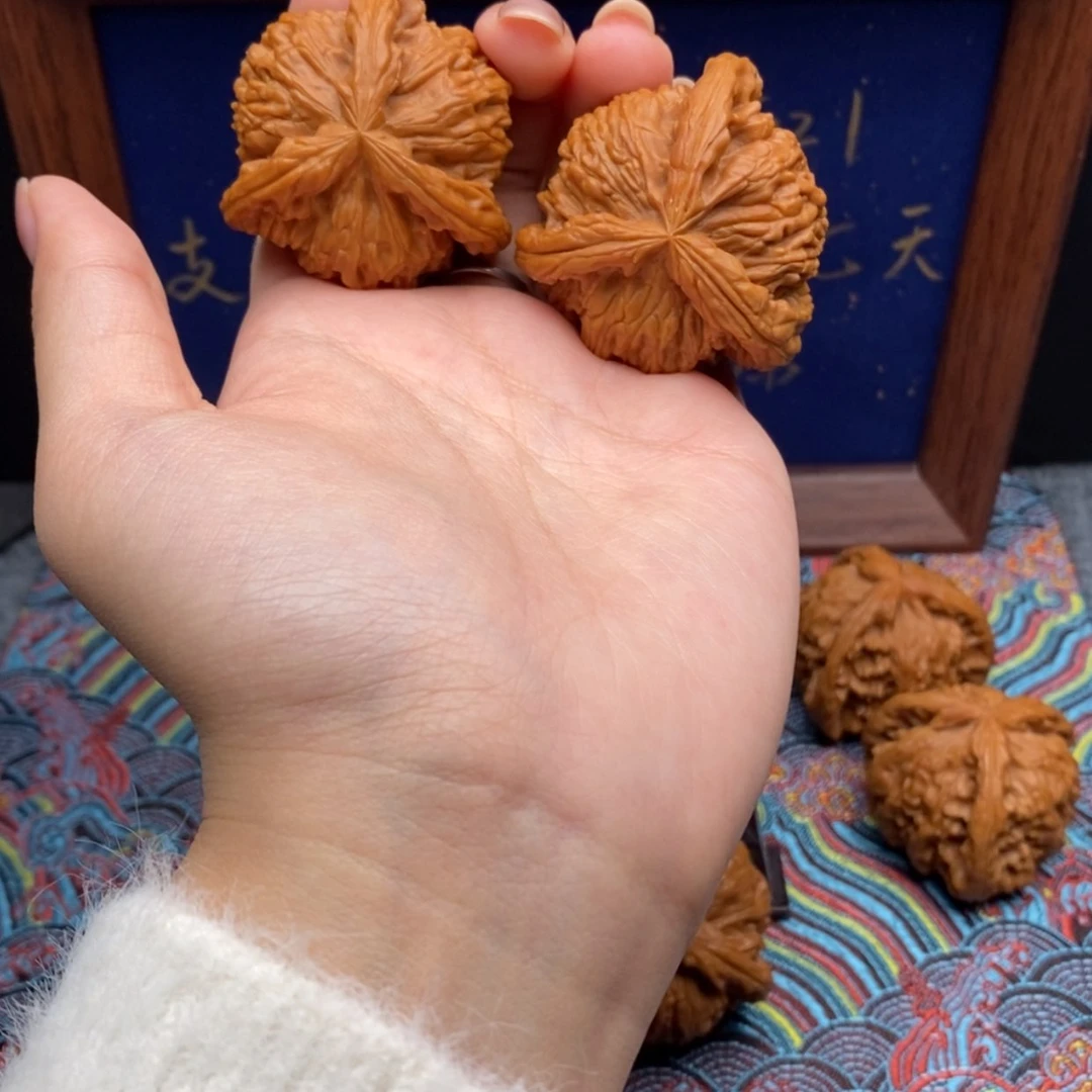 【闪购商品】乌**水白狮