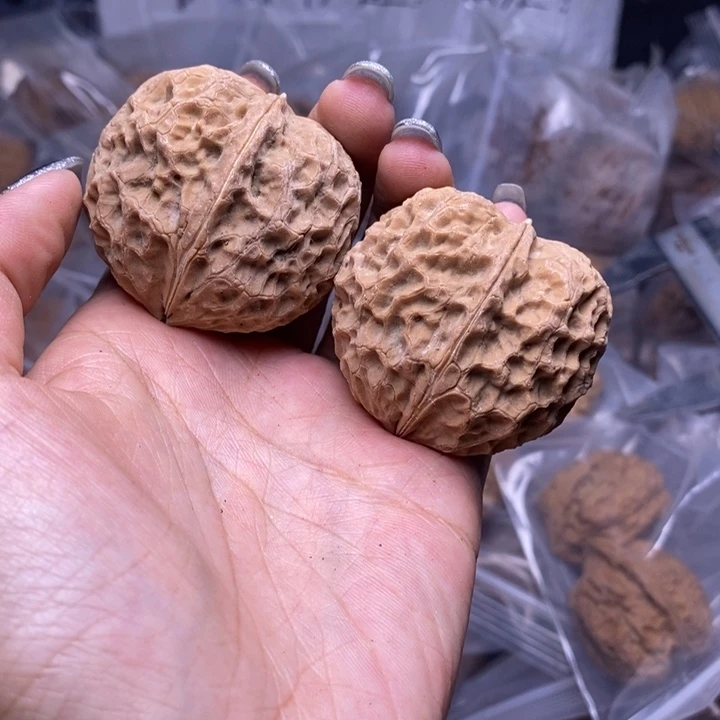核桃云南野生铁核桃64号45mm