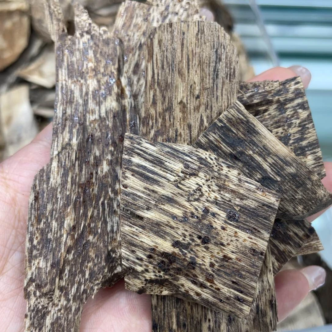 香榧木海南尖峰岭排油老料12g