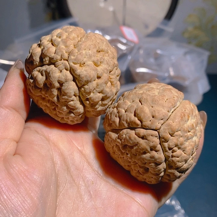 野生三瓣脑纹大金刚4859