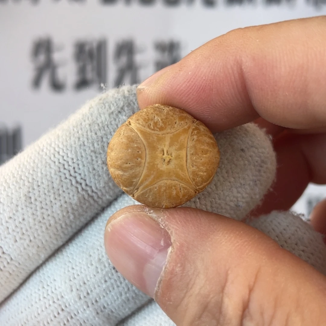 *****吊坠凤眼菩提凤眼菩提麒麟眼