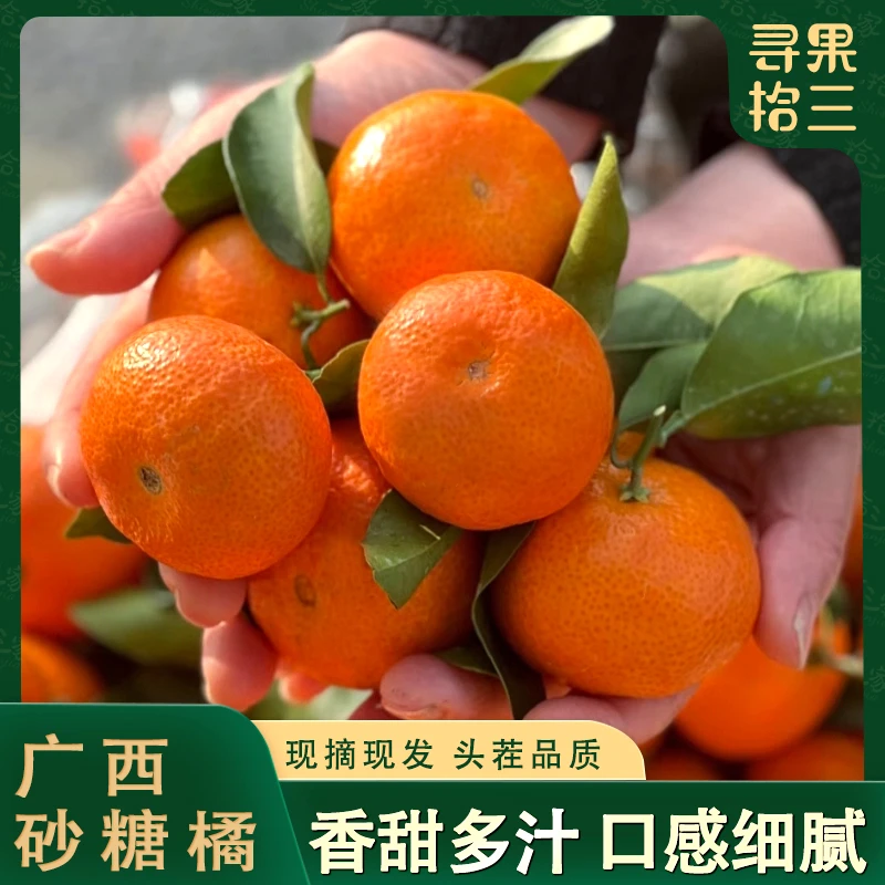 【现摘现发】A1正宗广西砂糖橘新鲜沙糖桔皮薄香甜5斤应季水果