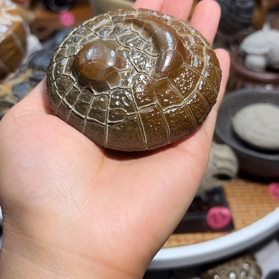 褚***武陶瓷湖南精品龟纹石