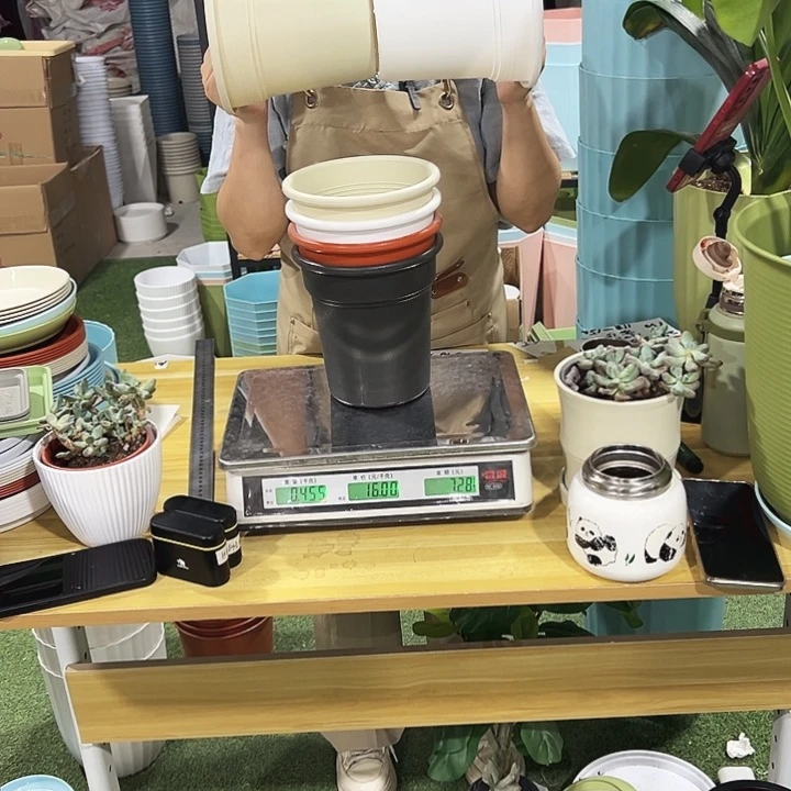 翻边盆口16高17混色无托6只