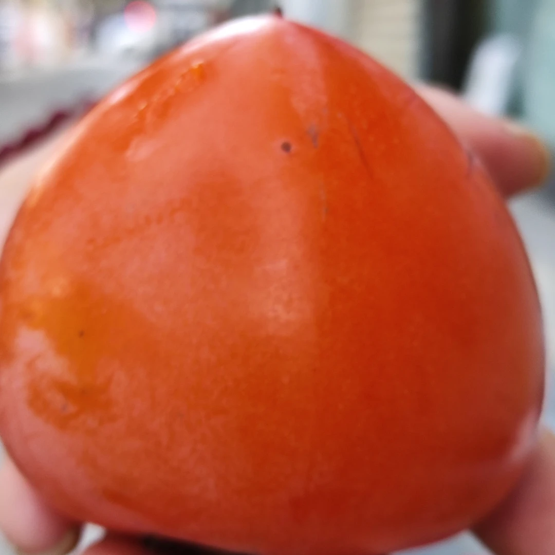 富平应季新鲜流心爆甜大尖柿子软甜爆浆现摘现发