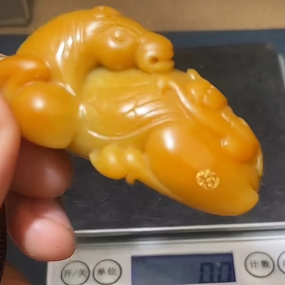 千里马9.21HX多样性拍一发一