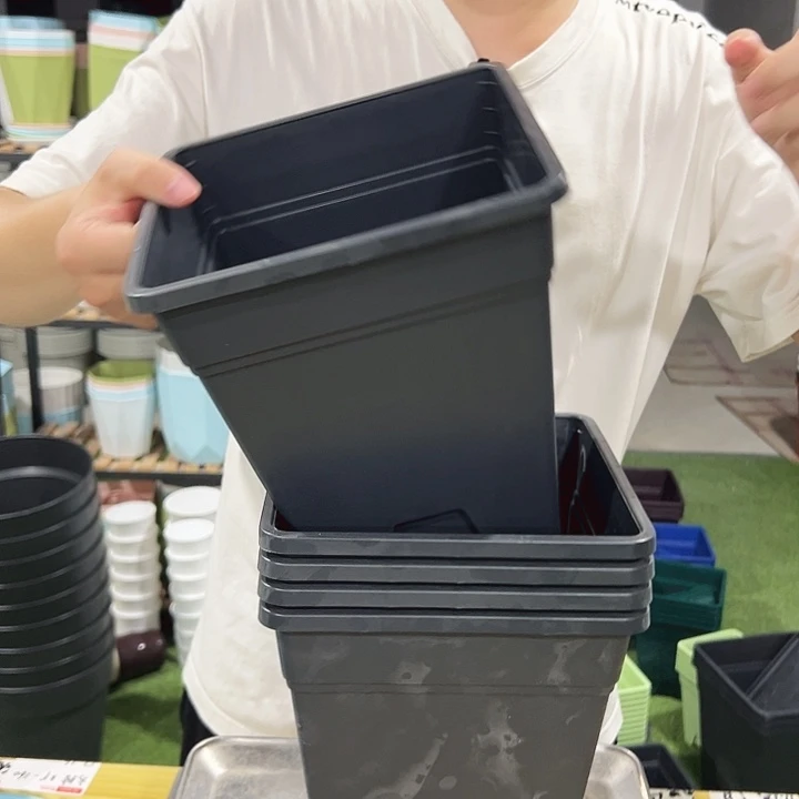 方盆口20高22黑色5只带托