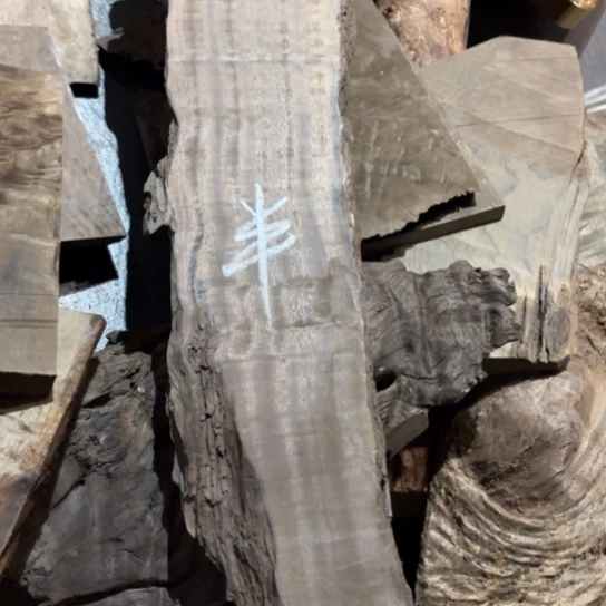 半***生小叶金丝楠原材料