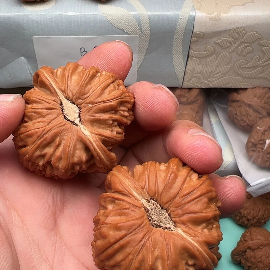 桃核把件一直尖部有修福利对42