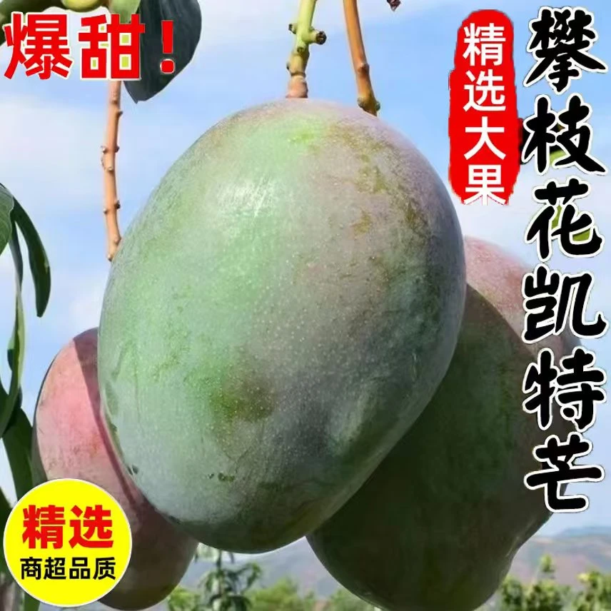 【爆甜芒果】四川攀枝花凯特芒果新鲜应季水果包邮大青芒果整箱果DR