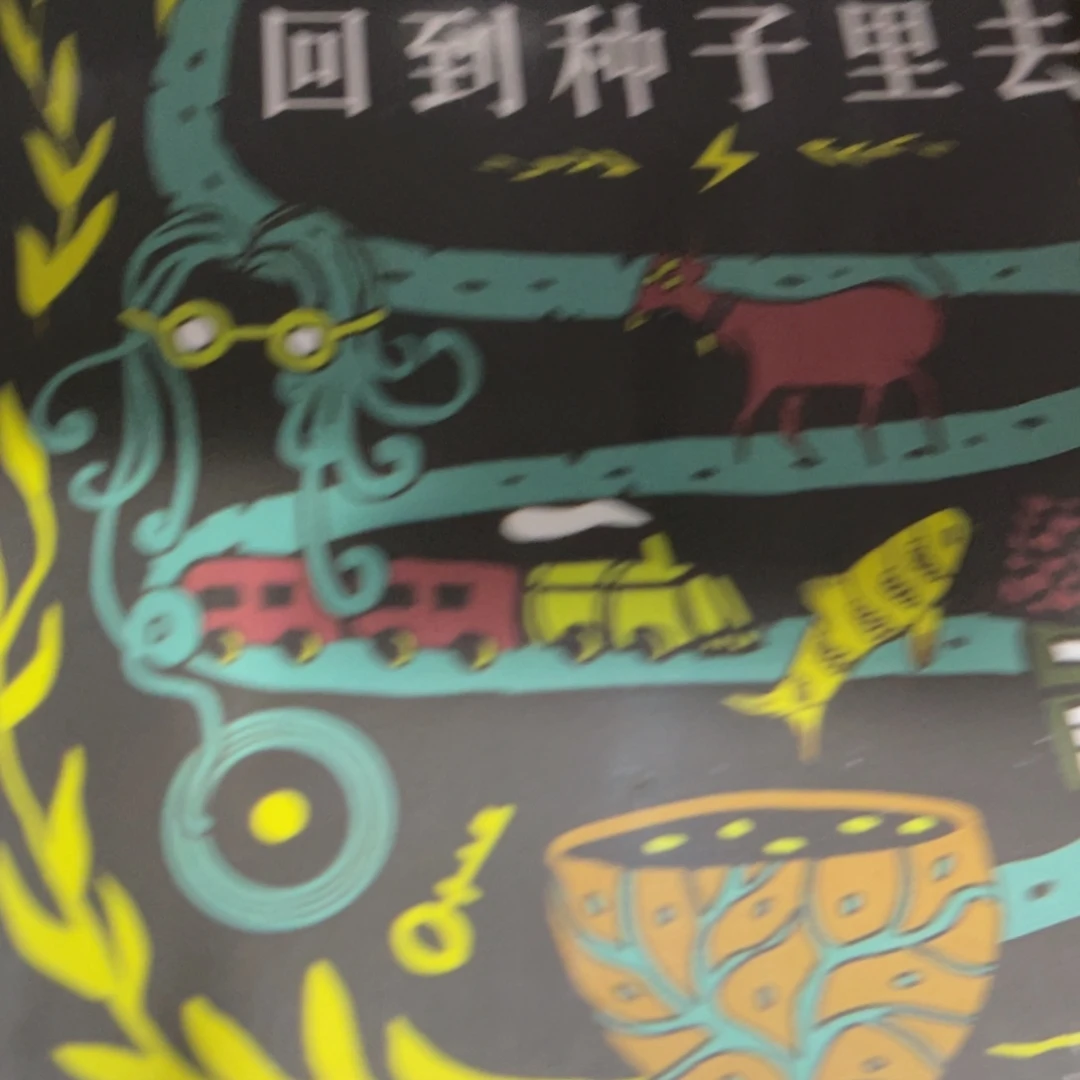 回到种子里去精装一个