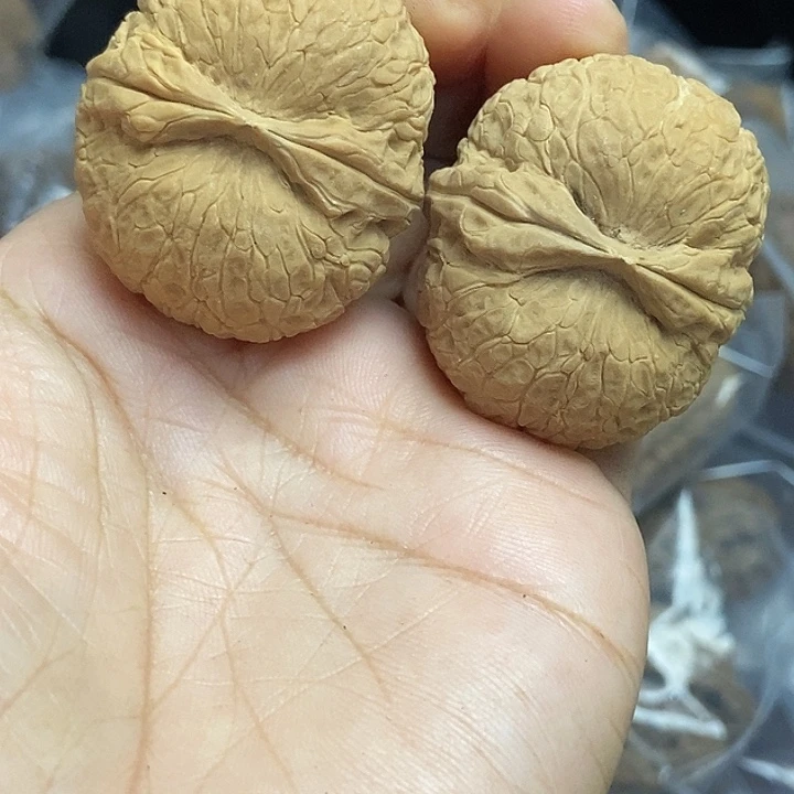 木质类云南铁核桃基地19