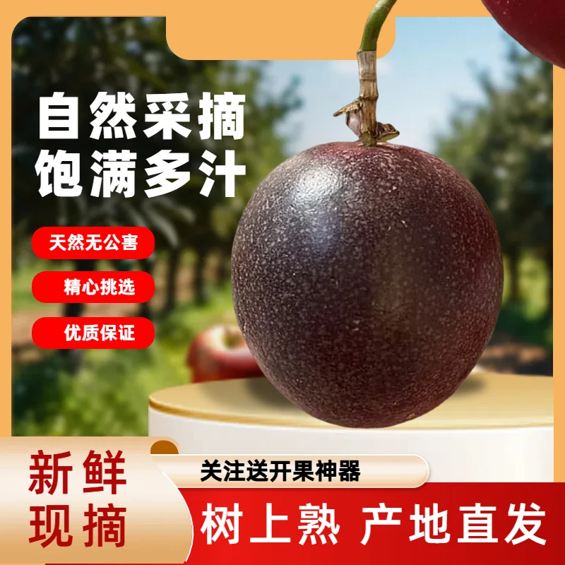 云南高山现摘紫皮百香果酸甜可口果香浓郁泡水必备水果