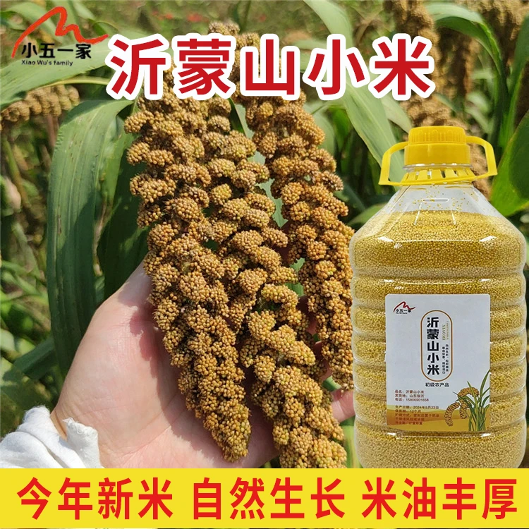 【2025沂蒙山新小米】沂蒙新米黄小米煮粥香粘月子米黄金小米