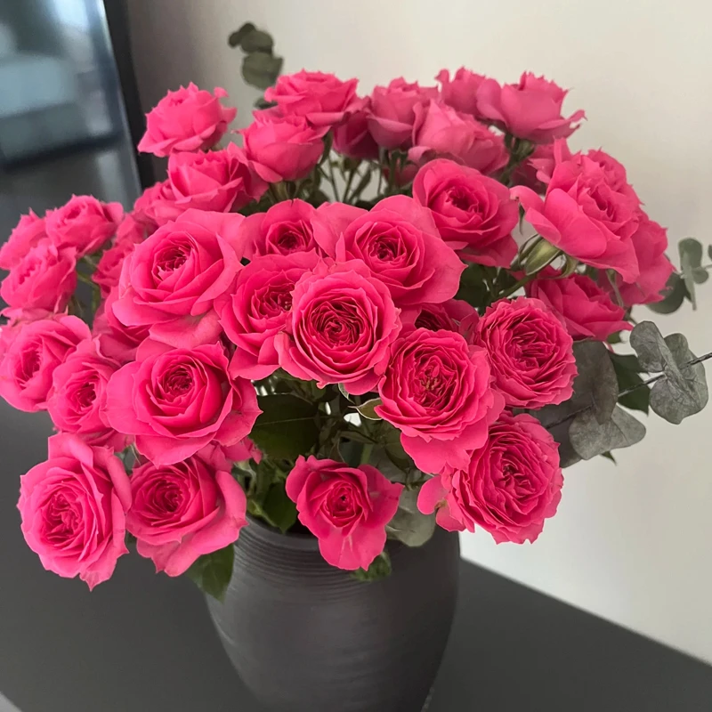 【苏菲宝贝】新鲜鲜花花束多头泡泡小玫瑰云南昆明基地直发家用水养