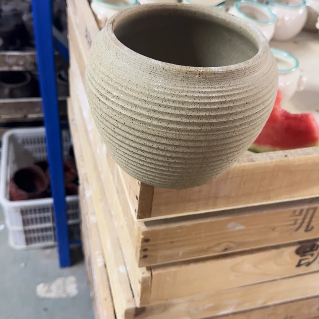 福利局绿植多肉盆［凑9元包邮24小时发］