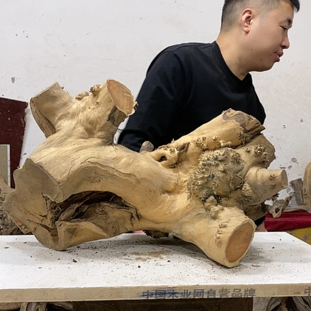 【闪购商品】柏木阿**艺我们都是好孩子
