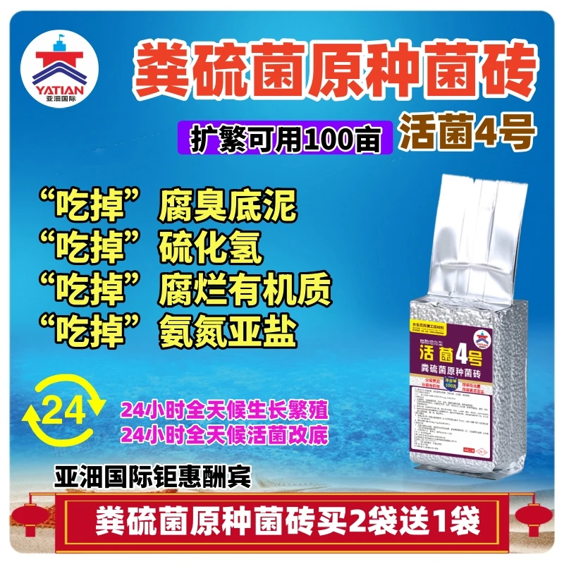粪硫菌原种菌砖/分解硫化氢/分解残饵粪便/分解腐烂有机物/降氨亚