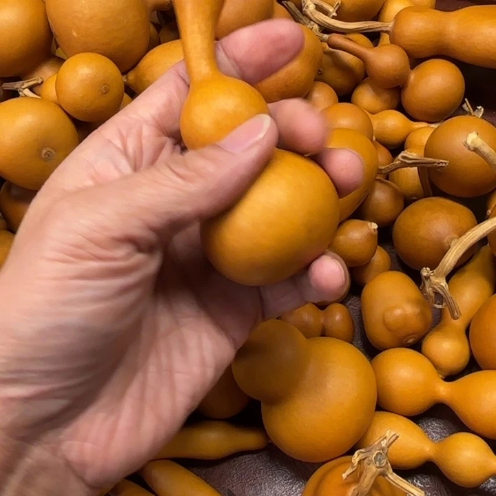 傅****?负责牛肉的一把大粗子打错字葫芦