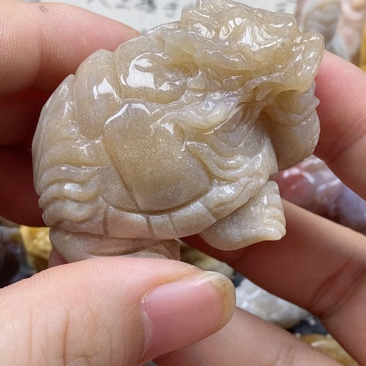 颈饰未镶嵌硅化珊瑚（珊瑚玉）