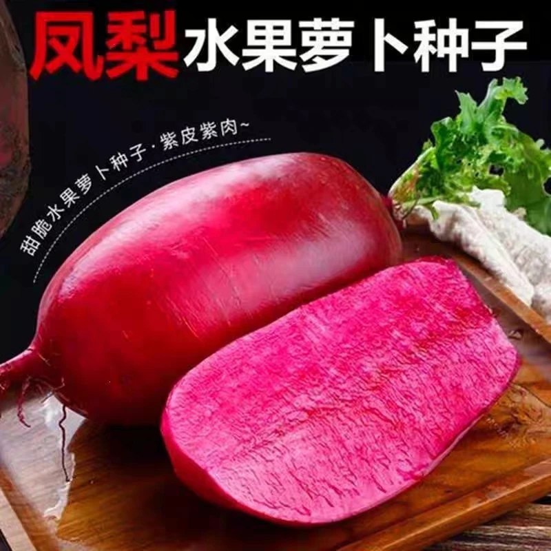 凤梨水果萝卜种子红皮红肉种籽四季甜脆萝卜蔬菜种子紫美人红萝卜