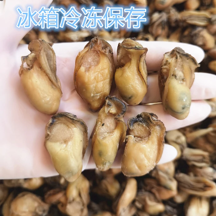 【珠海升仔】 台山金蚝无抽油 （半干） 香煎闷煮 250克/500克