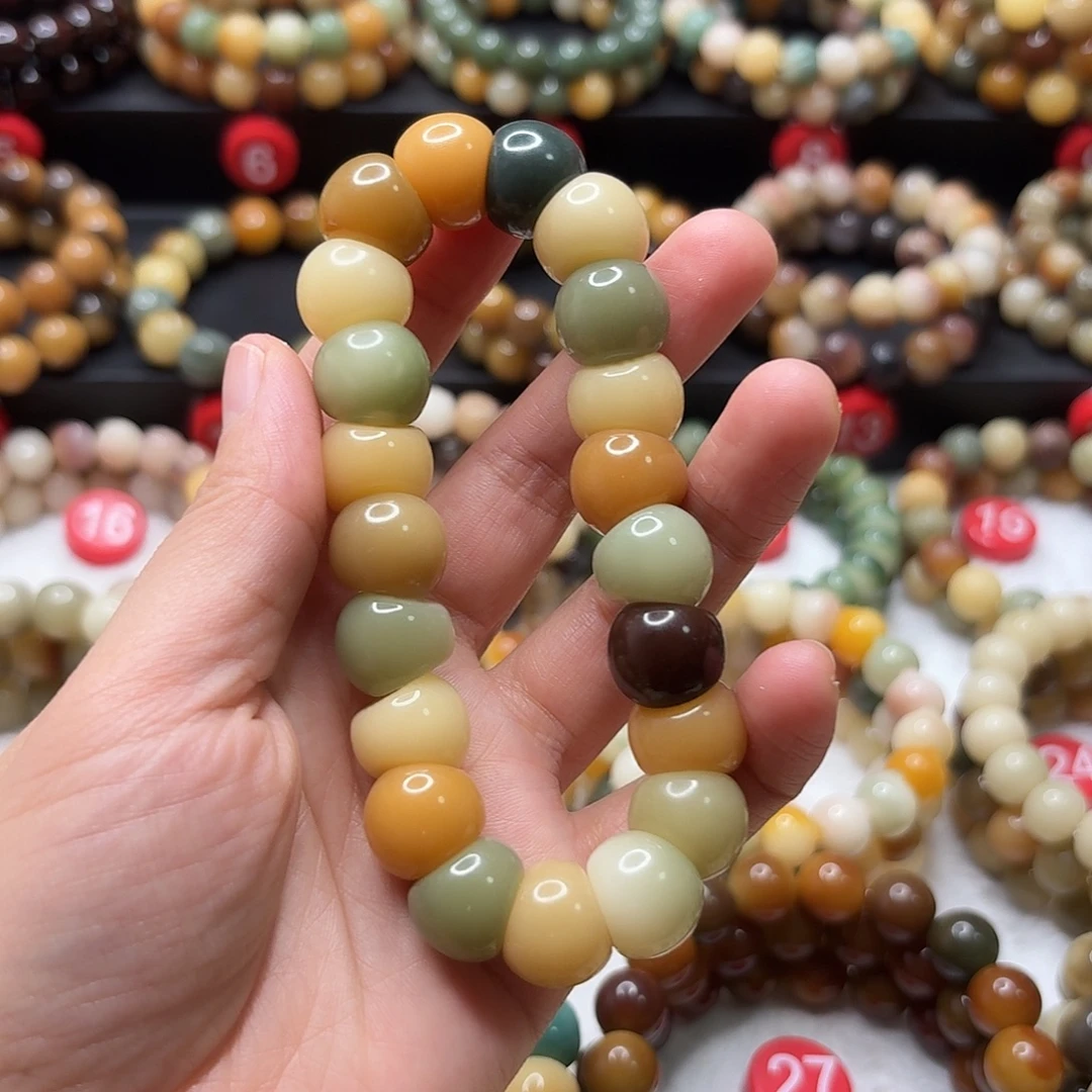 手串菩提根/象牙果大肠