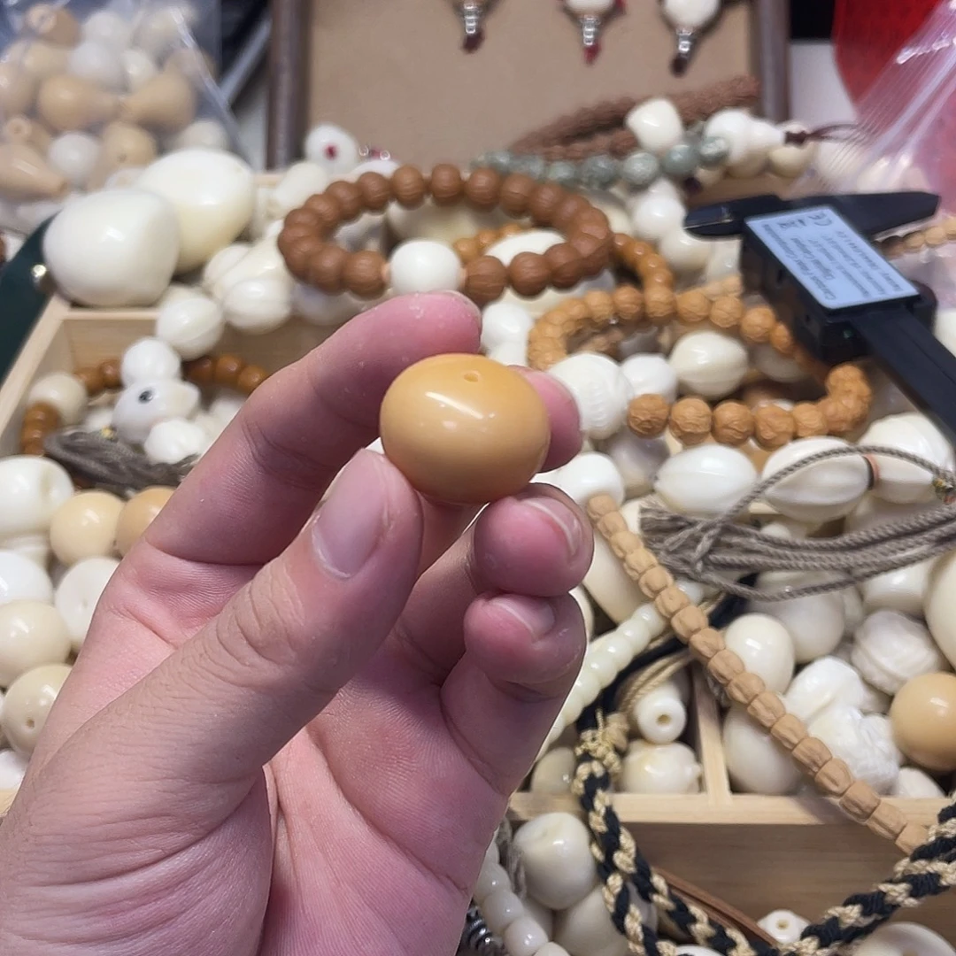 1***^吊坠菩提根/象牙果